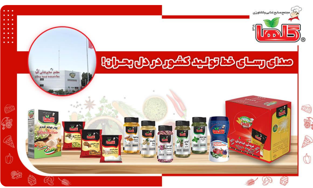 مجتمع صنایع غذایی و کشاورزی گلها؛ صدای رسای خط تولید کشور در دل بحران!